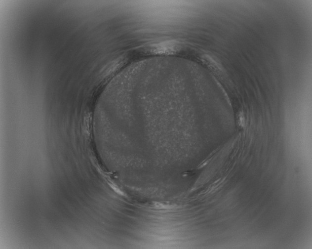 X0000063480325200602101813