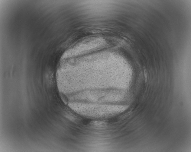 X0000063480327200602101813