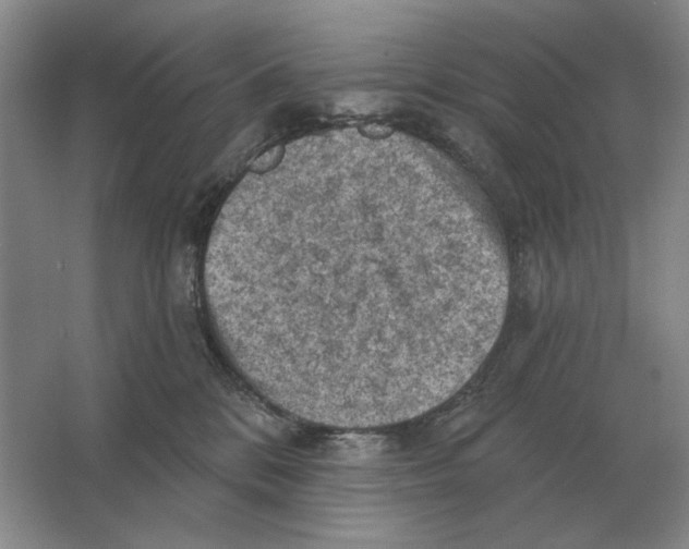 X0000063480328200602101813