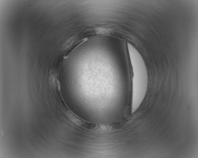X0000063480329200602101813
