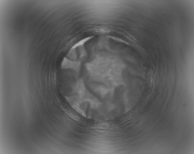 X0000063480330200602101813