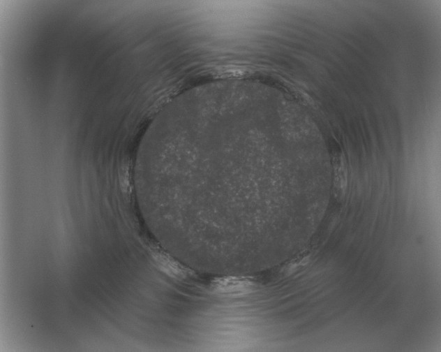 X0000063480331200602101813