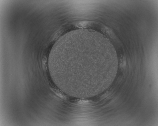 X0000063480332200602101813
