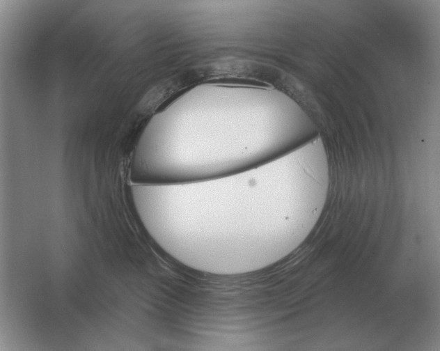 X0000063480333200602101813