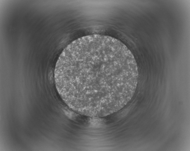 X0000063480336200602101813