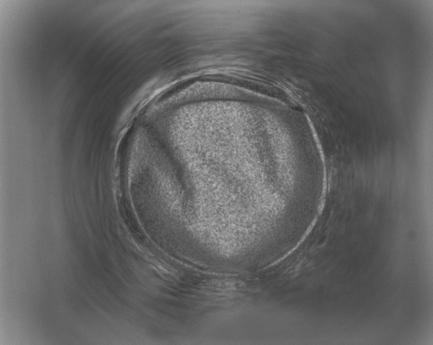 X0000063480339200602101812