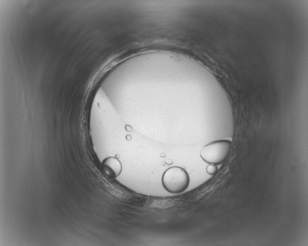 X0000063480341200602101812