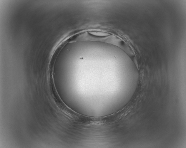 X0000063480344200602101812