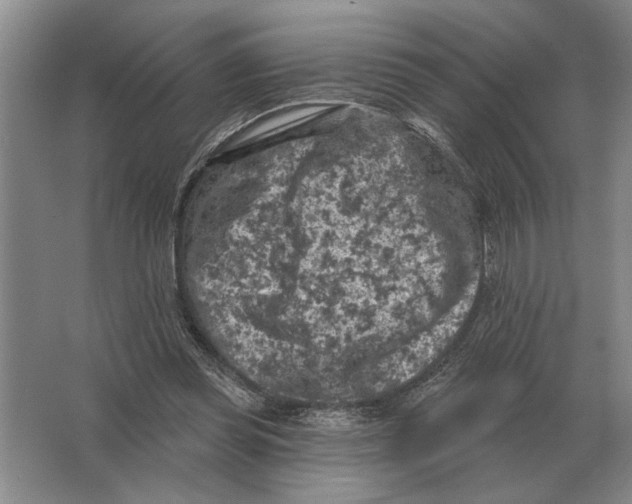 X0000063480349200602101812
