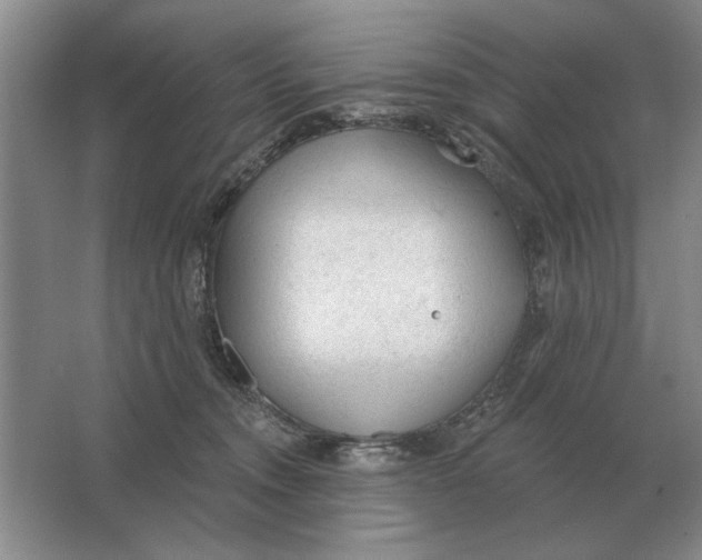 X0000063480372200602101813