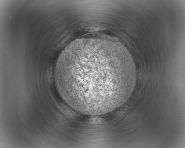 X0000063480376200602101813