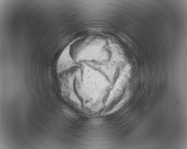 X0000063480377200602101813
