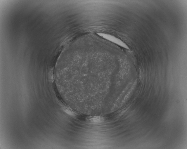 X0000063480383200602101813