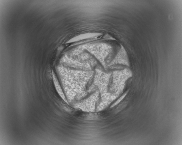 X0000063480384200602101813