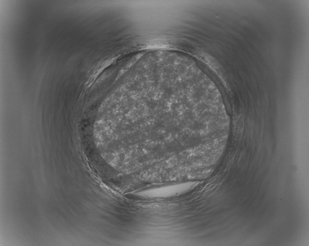 X0000063480385200602101812
