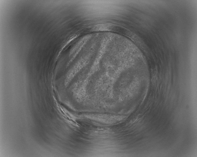X0000063480386200602101812