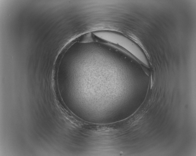 X0000063480387200602101812