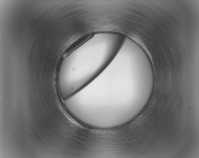 X0000063480389200602101812