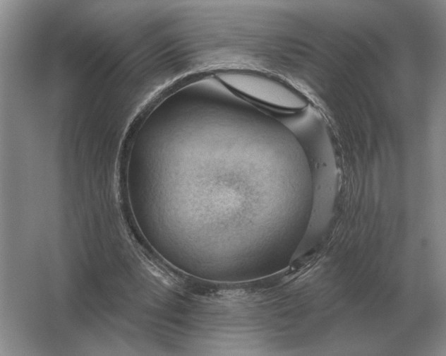 X0000063480391200602101812