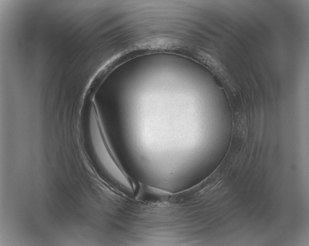 X0000063480392200602101812