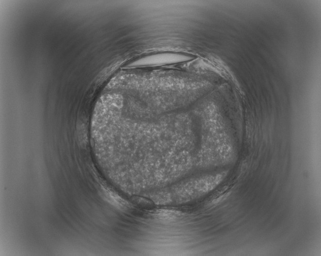 X0000063480393200602101812