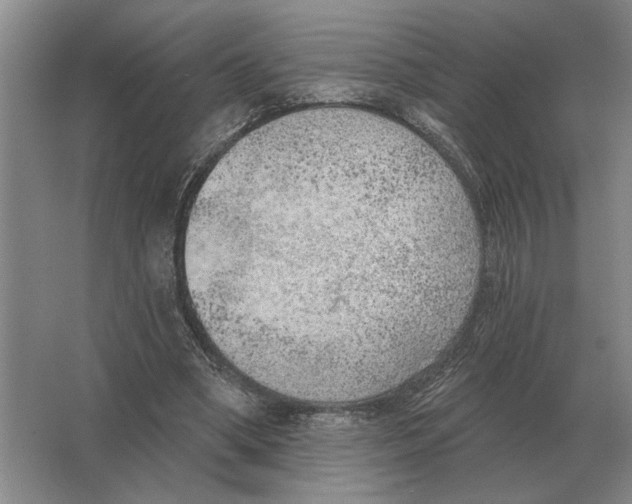 X0000063480394200602101812