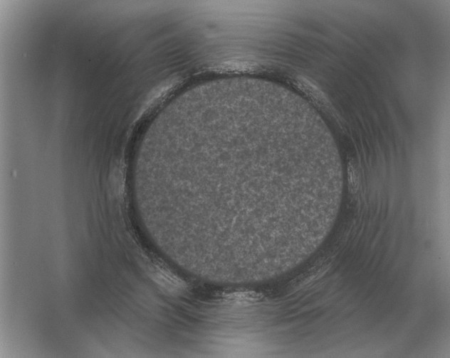 X0000063480396200602101812