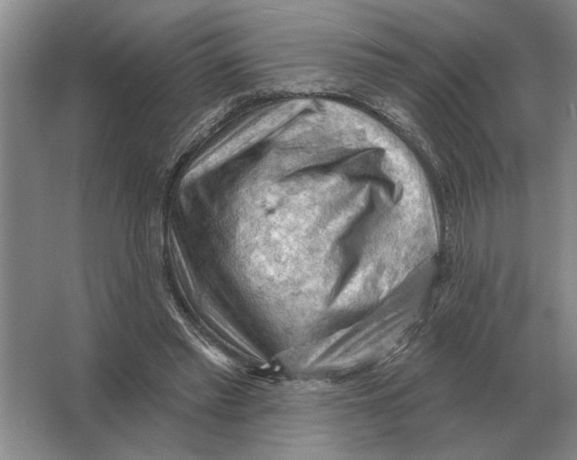 X0000063480397200602101812