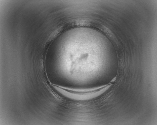 X0000063480401200602101812