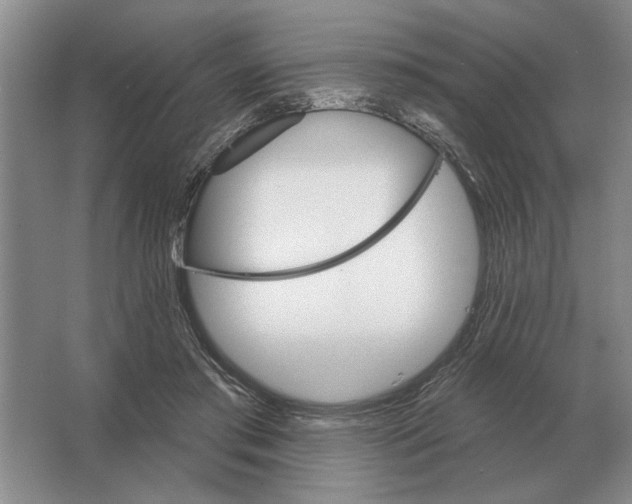 X0000063480405200602101812