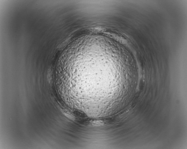 X0000063480409200602101811