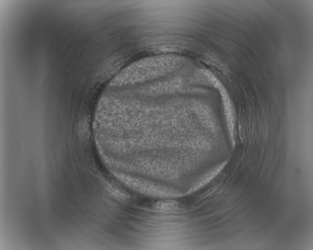 X0000063480410200602101811