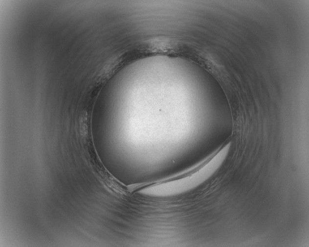 X0000063480413200602101811