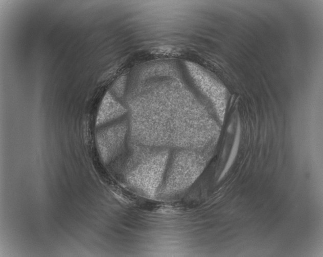X0000063480416200602101811
