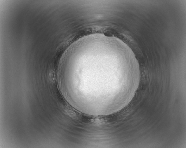 X0000063480419200602101811