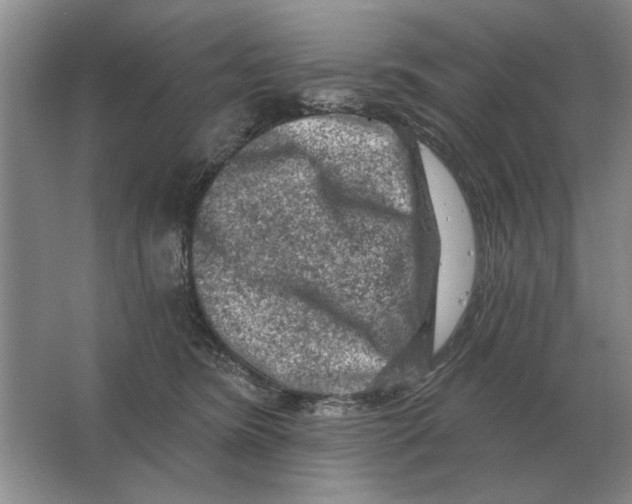 X0000063480420200602101811