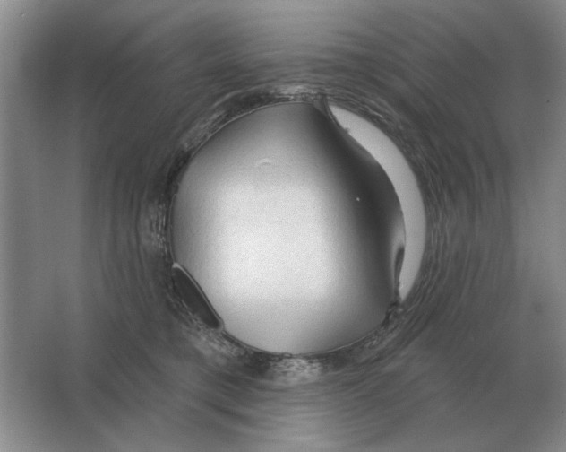X0000063480421200602101811