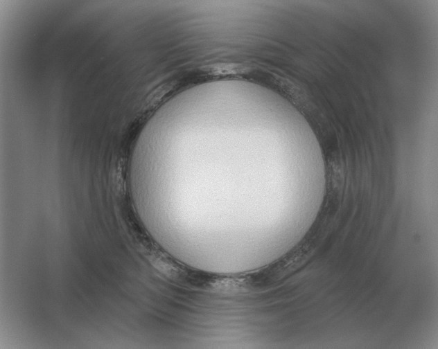 X0000063480422200602101811