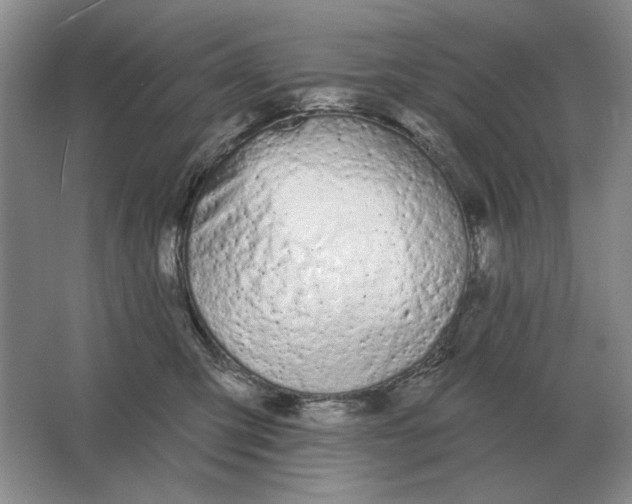 X0000063480423200602101811