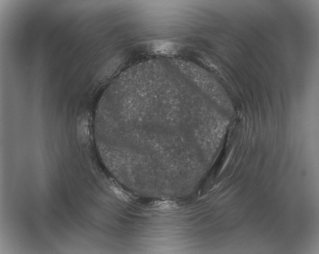 X0000063480424200602101811