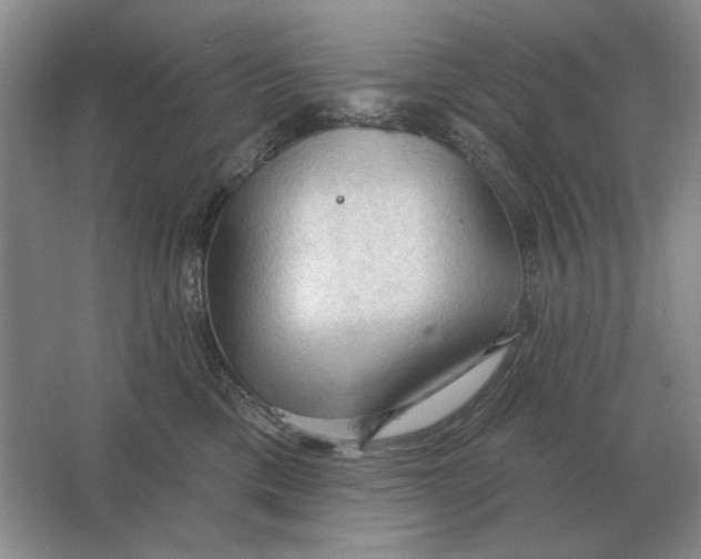 X0000063480425200602101811