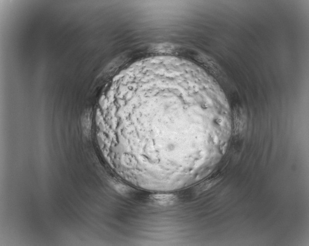 X0000063480427200602101811