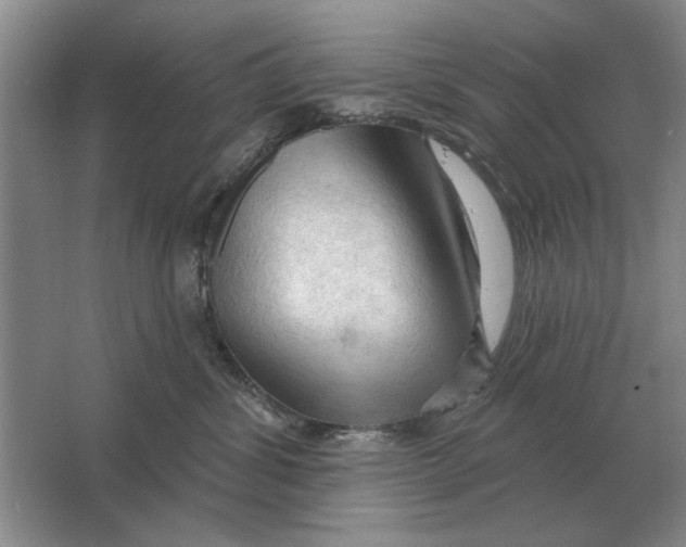 X0000063480428200602101811