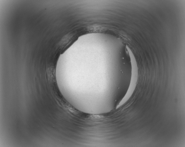 X0000063480429200602101811