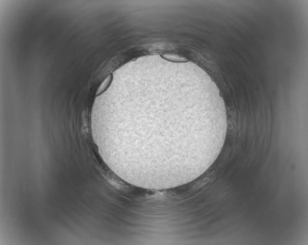 X0000063480430200602101811