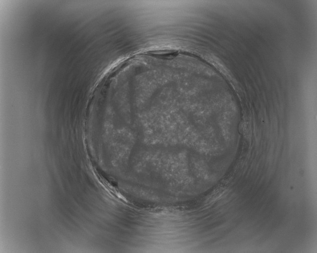 X0000063480434200602101810