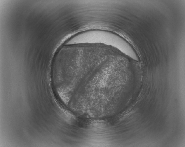 X0000063480438200602101810