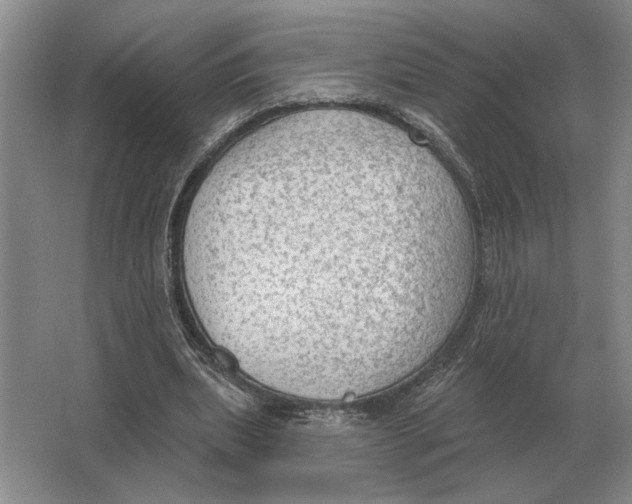 X0000063480439200602101810