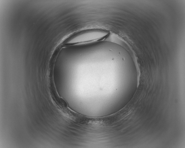 X0000063480440200602101810