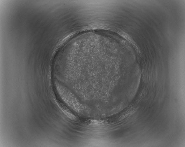 X0000063480442200602101810